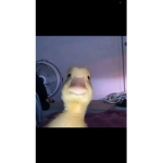 Your mom is mad go see your self