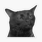 Pl0x Co.
