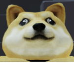 cool doges clan