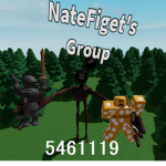 Nate (FIGET'S) Group