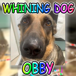 [NEW] WHINING DOG OBBY[NICHE]