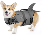 Shark pups