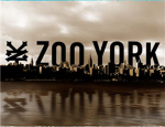 Official Zoo York® Fans