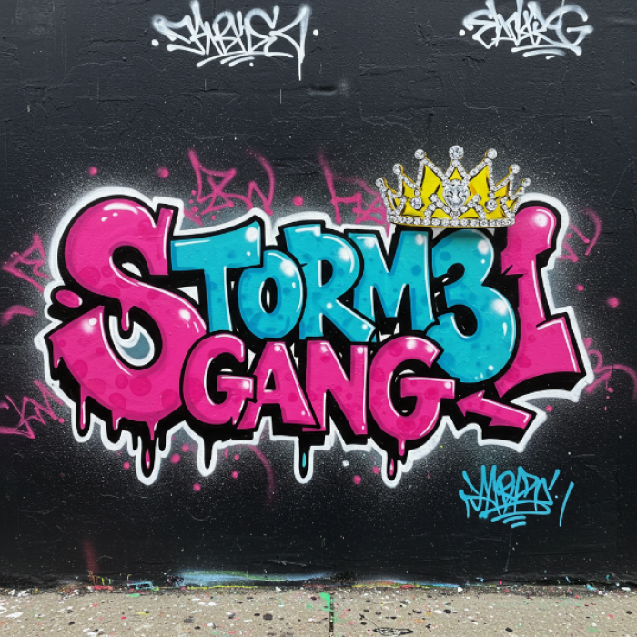 Stormi gang wall art graffiti pack  Roblox decal
