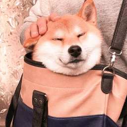 𝘩𝘦𝘳 𝘢𝘯𝘨𝘦𝘭