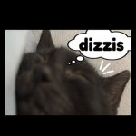 dizzis