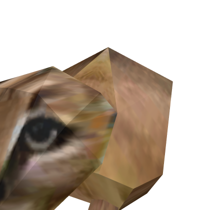 Floppa