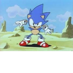 sonic and silver
