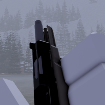 (ACS) Snow Map