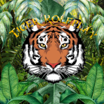 Tiger Roleplay