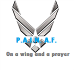 P.A.I.N. Air Force