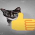 xGL00MYx