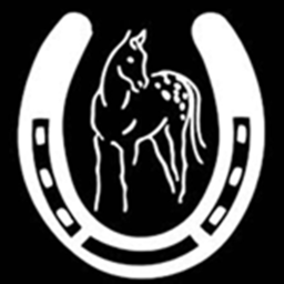 The Appaloosa Academy Store (W.I.P)