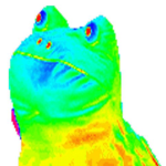 Frog mans lil gang