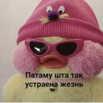 ThisIsMyAdoptGroup