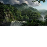 ⊹The Jungle ⊹