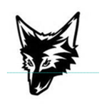 fox air force