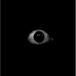 eyes