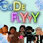 Code Flyyy