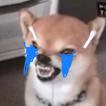 аstroo