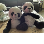 Pans and cams roblox group