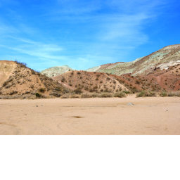Survive the california desert