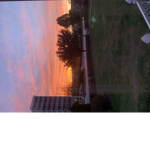 Sun Setters
