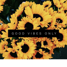 【Good Vibe club】