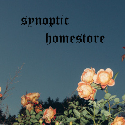 synoptic's homestore