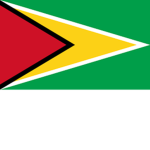 Guyana Vibe