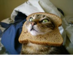 Bread Crumbz
