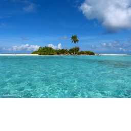 Pizza Island