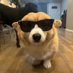 Corgi Games