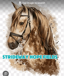 Strideway hope fields