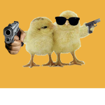 Gang Pulcino Pio