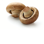 Mushroom Fan Club