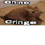 blskhdbcgfdsguewfiew
