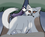 << Feline Friends >>