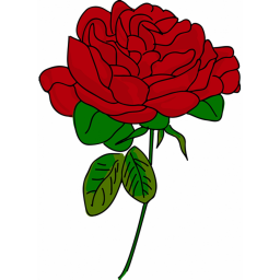 The Red Rose Obby!