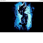 Goku’s Offical Family