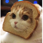 The Toast Empire