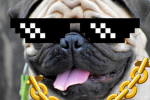 Group Thumbnail