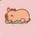 Capybara fan!!!!