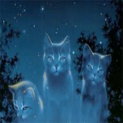 Warrior cats Roblox decal