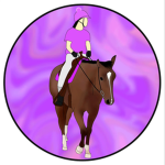 Saffron Meadows Riding Academy