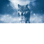TheRobloxWolvesOfTheNight