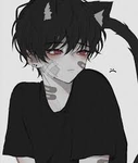 ASH’S CATS GROUP
