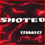 ヤ SHOTED