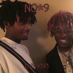 NO*9