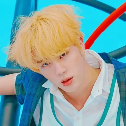 seokjin icon